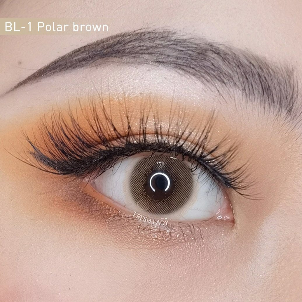 POLAR BROWN MIOPIA