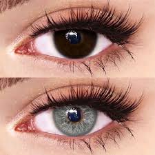 WING GRAY